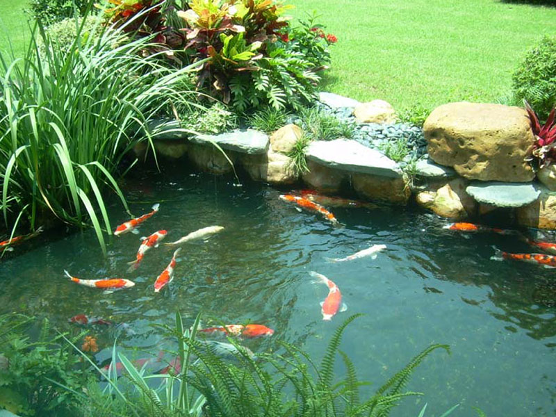 廣州番禺別墅魚池