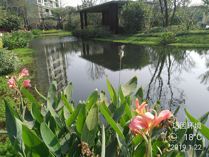 水體生態(tài)修復(fù)調(diào)水養(yǎng)水