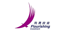 飛晟投資