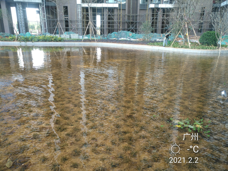 廣州都湖國(guó)際